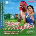 Othaiyadi Paathaiyilae Audio Songs