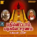 Pathinettam Padigale Saranam Audio Songs