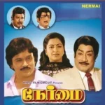 Nermai Audio Songs