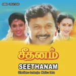 Seethanam Audio Songs