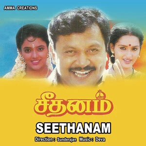 Seethanam Audio Songs